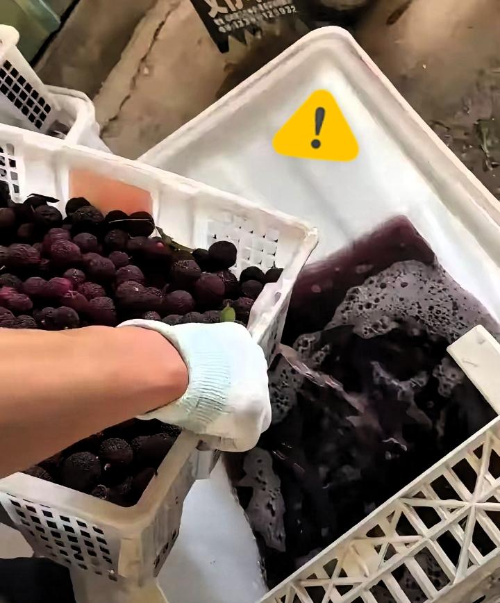 那个泡药水杨梅的商户！逻辑堪称“反向教科书”。他居然振振有词：曝光他就是毁