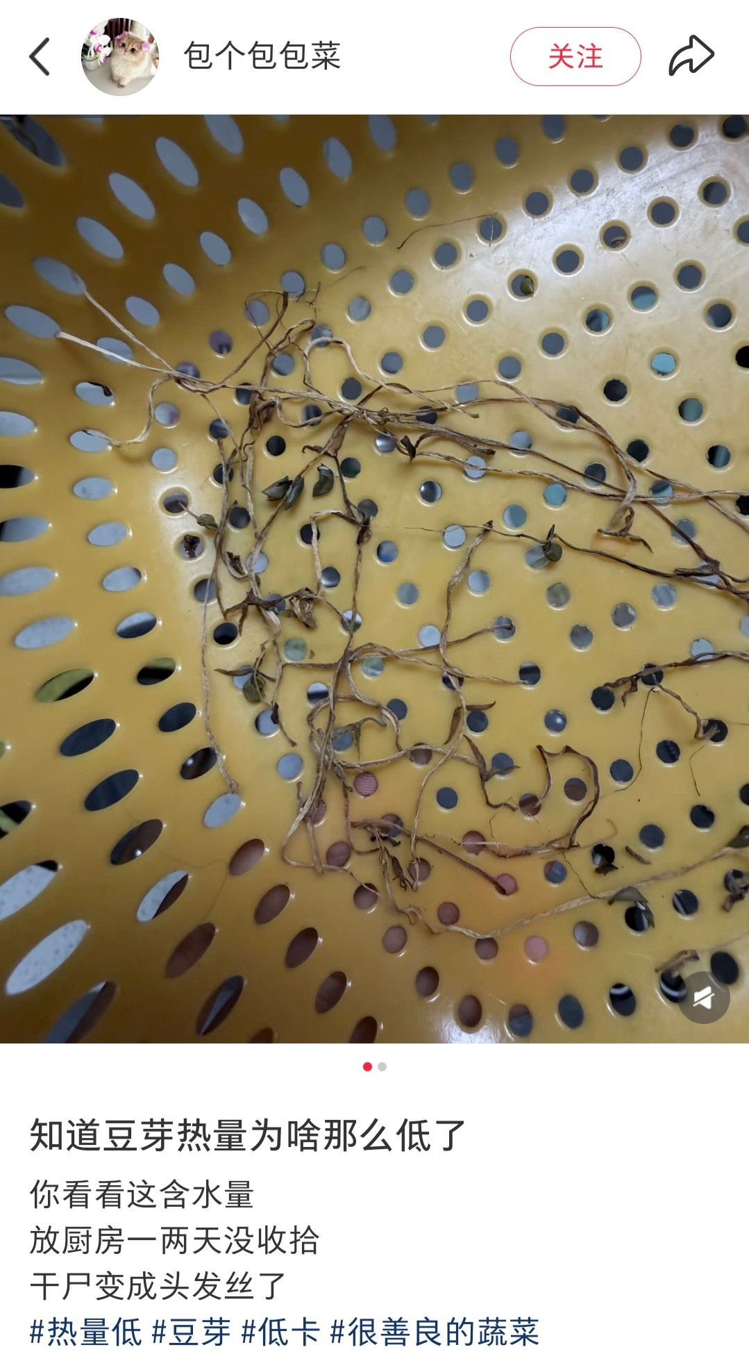 终于知道豆芽热量为啥那么低了