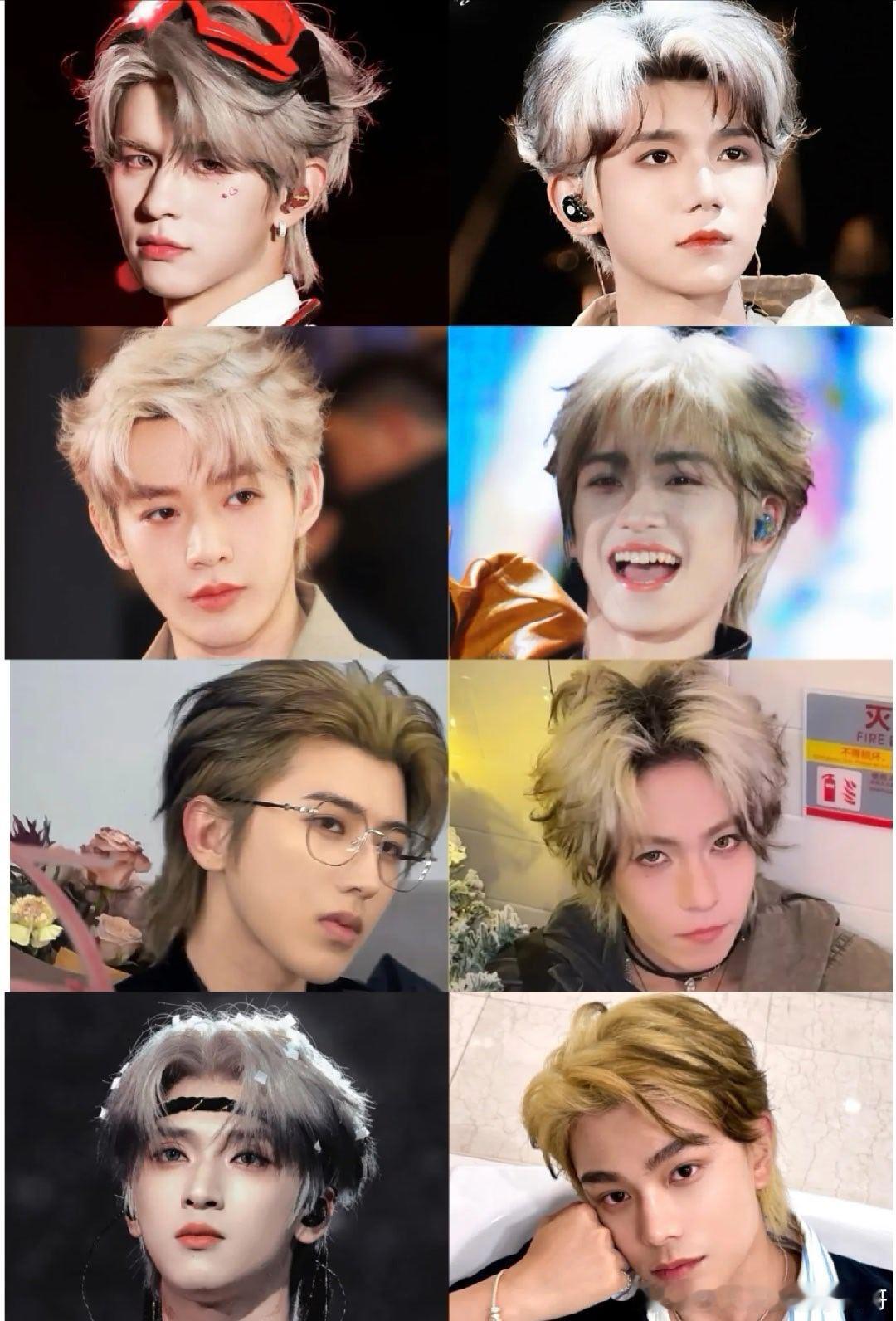 男明星的暹罗猫发色