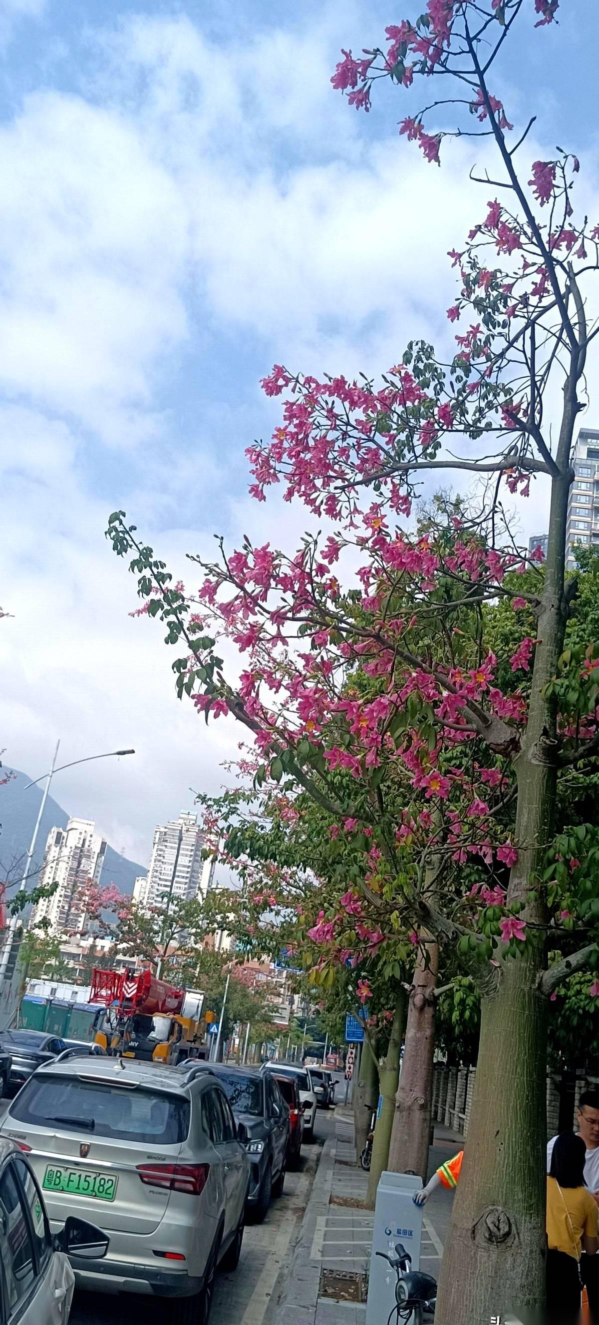 前两天听同学说，老张现在东莞租房，白天跑车，晚上打零工。我脑子嗡的一下。哪个