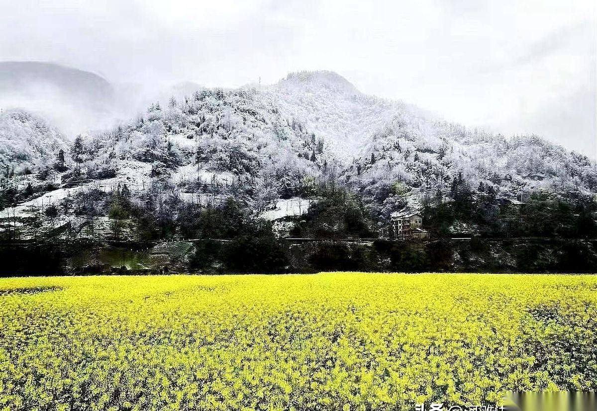 44岁了，重新捡起这个早就忘了密码的账号，原因说出来都怕人笑话——想买个笔记本。