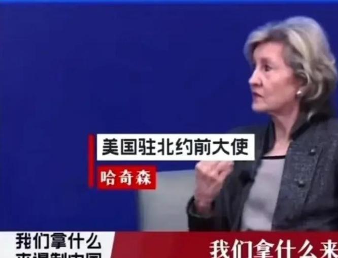 我们对付中国，不是去和它打仗！美国驻北约前大使说：中国有庞大的陆军、海军和空