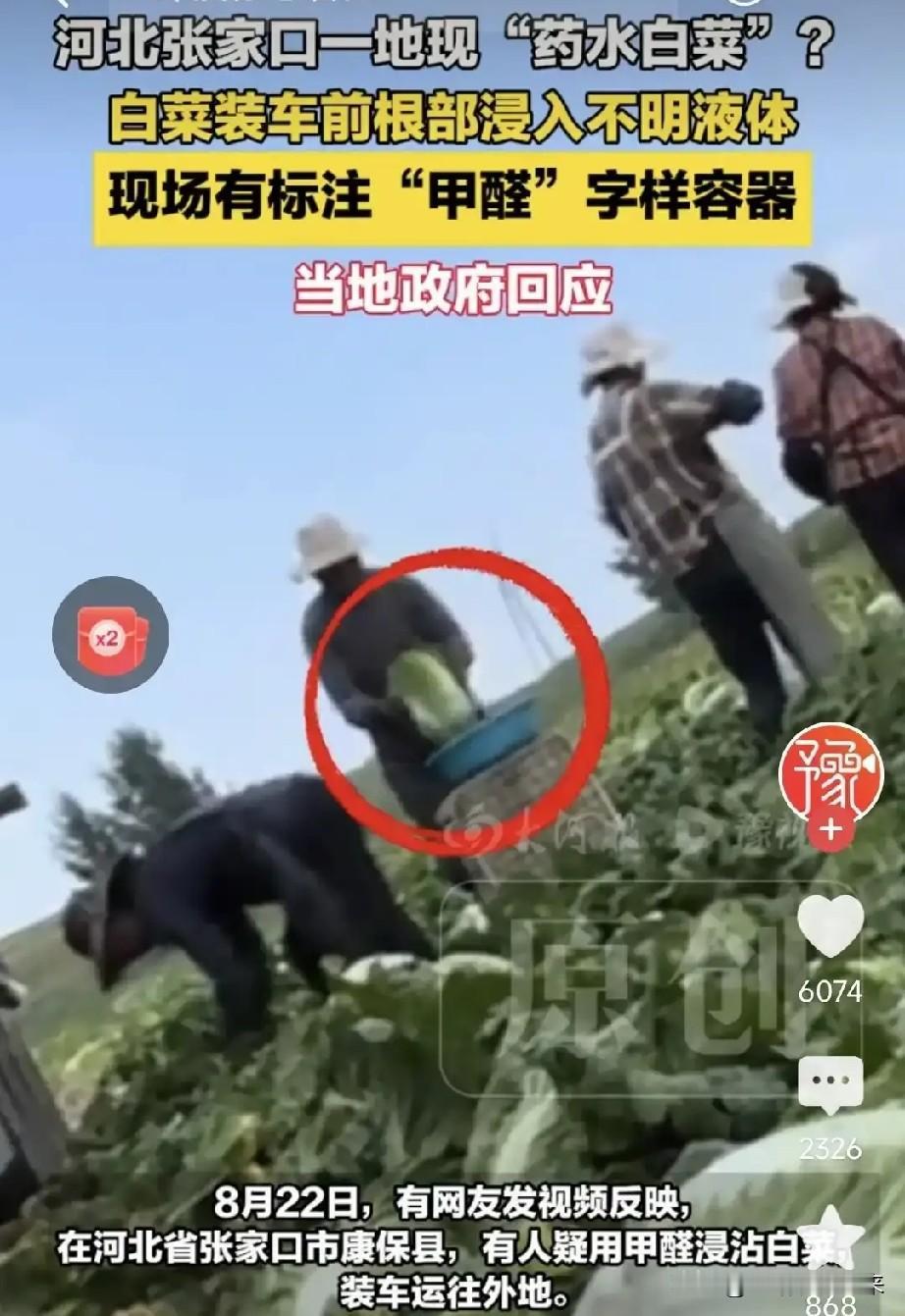 田头甲醛桶光明正大，为什么没人管？甲醛白菜背后的监管盲区博主拍下的画面里，就