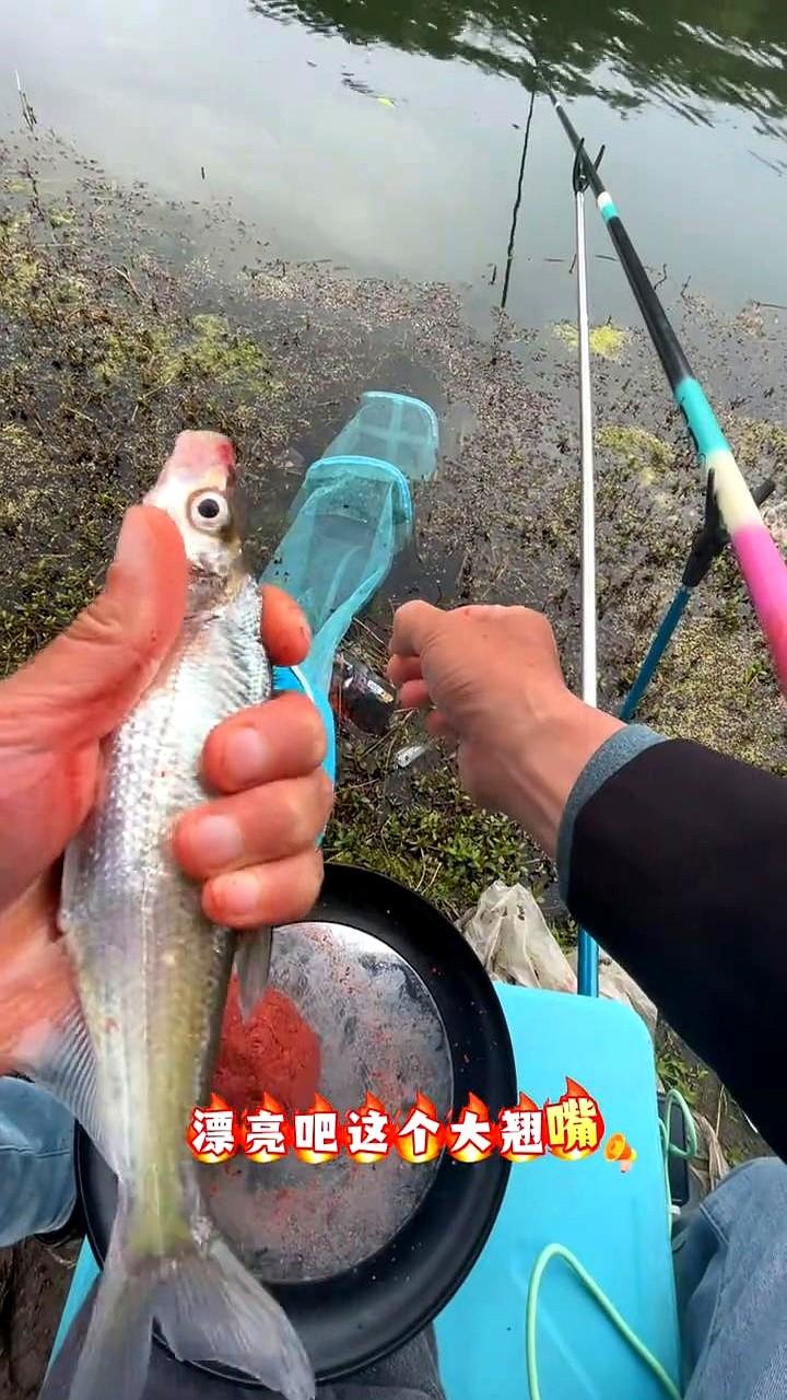 老天爷赏饭吃，这雨一下，鱼口直接炸了！今天去水库探个新点，水深三米多，刚开始