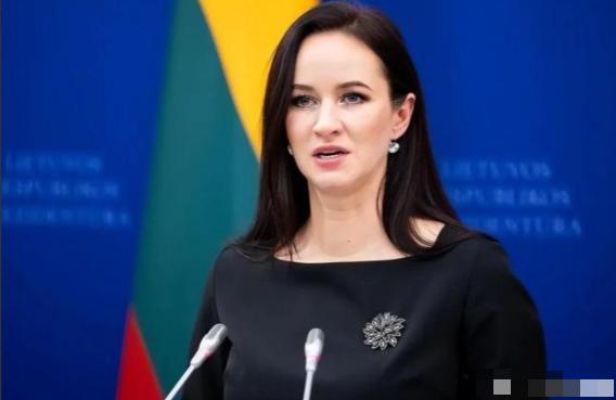 立陶宛彻底暴露了！总理刚对着镜头哭诉"释放了所有善意却等不到中方回应"，扬言要采