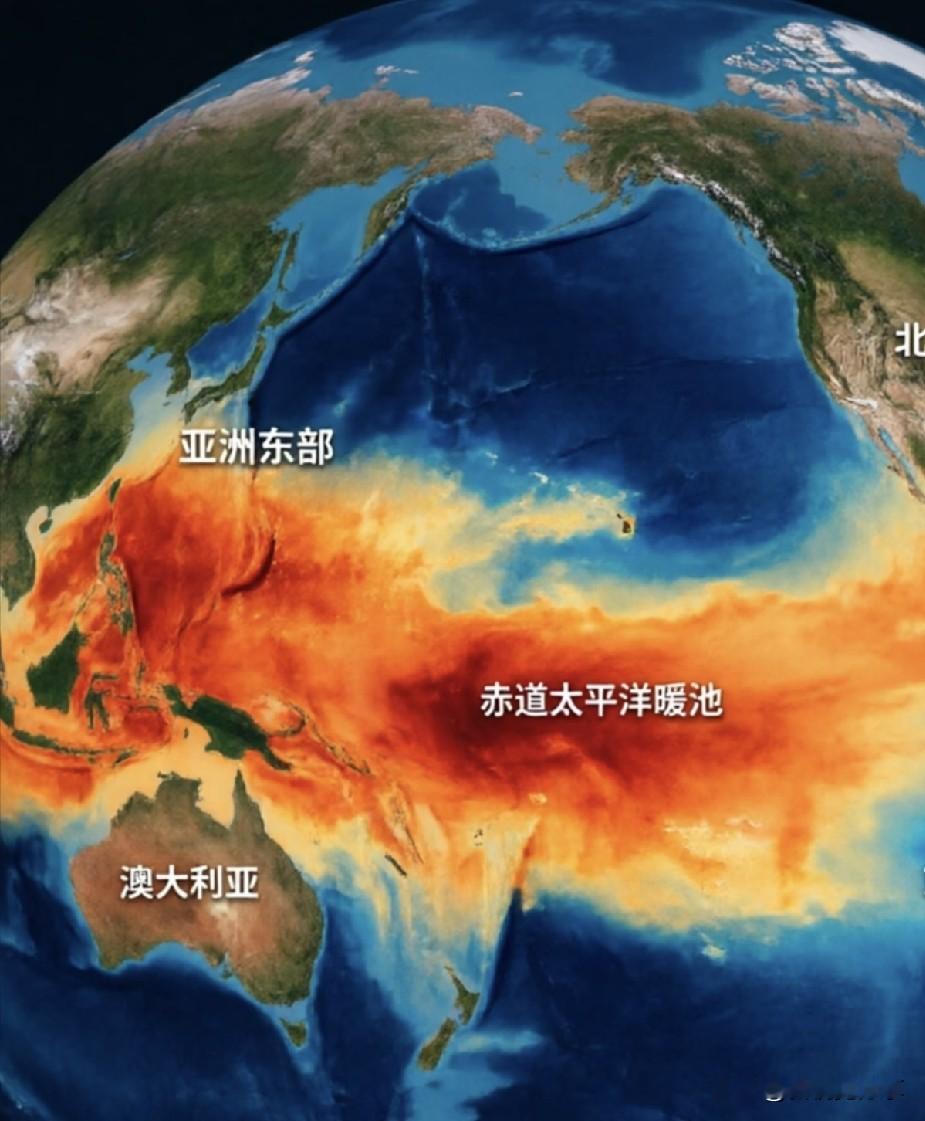 地球的气候警报，这回正式拉响了。9月3日，世界气象组织对外发布一份重磅预警，目前已经成型的厄尔尼诺，
