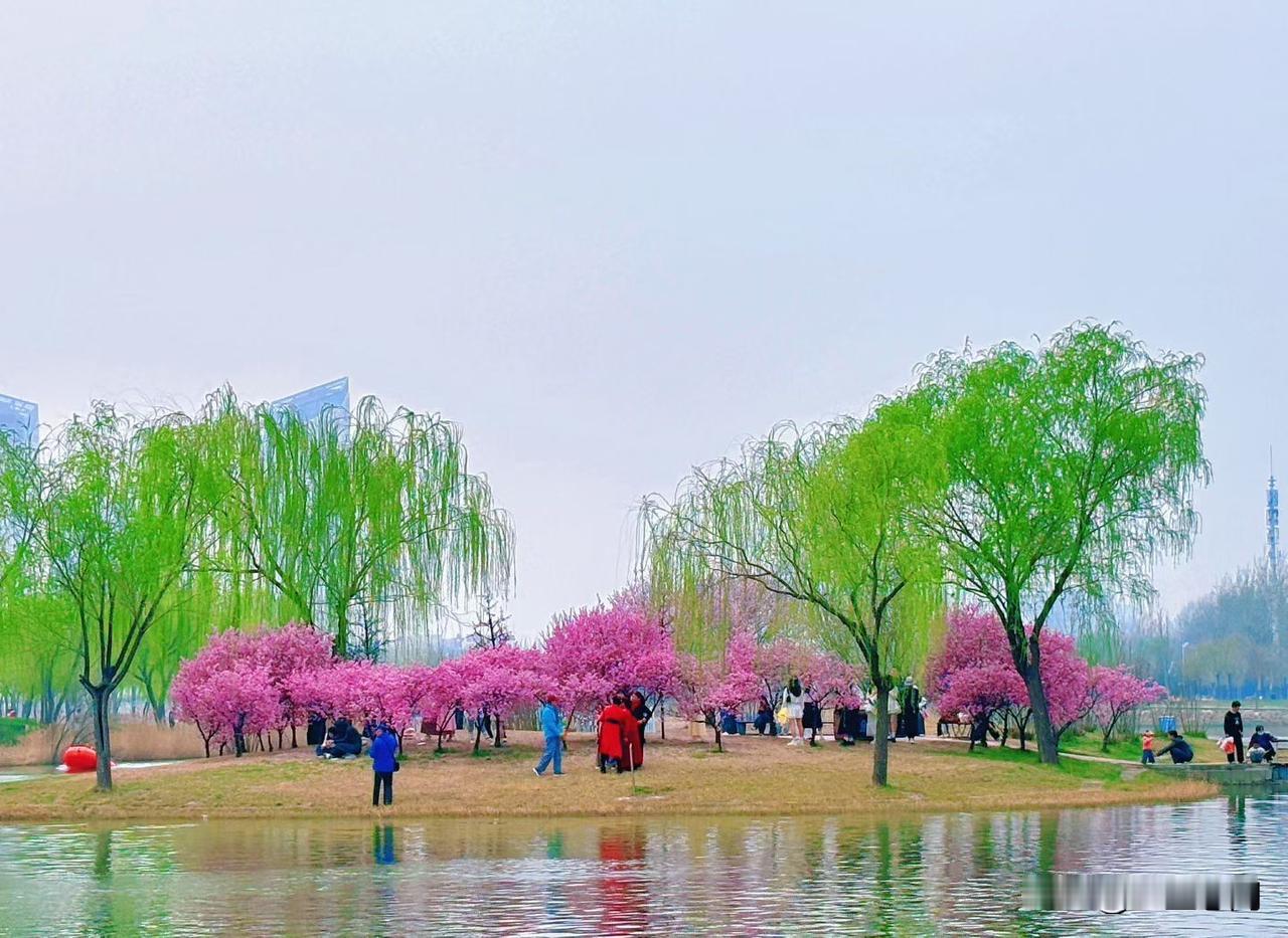 叔本华说：“人性一个最特别的弱点就是：在意别人如何看待自己。”的确是这样，