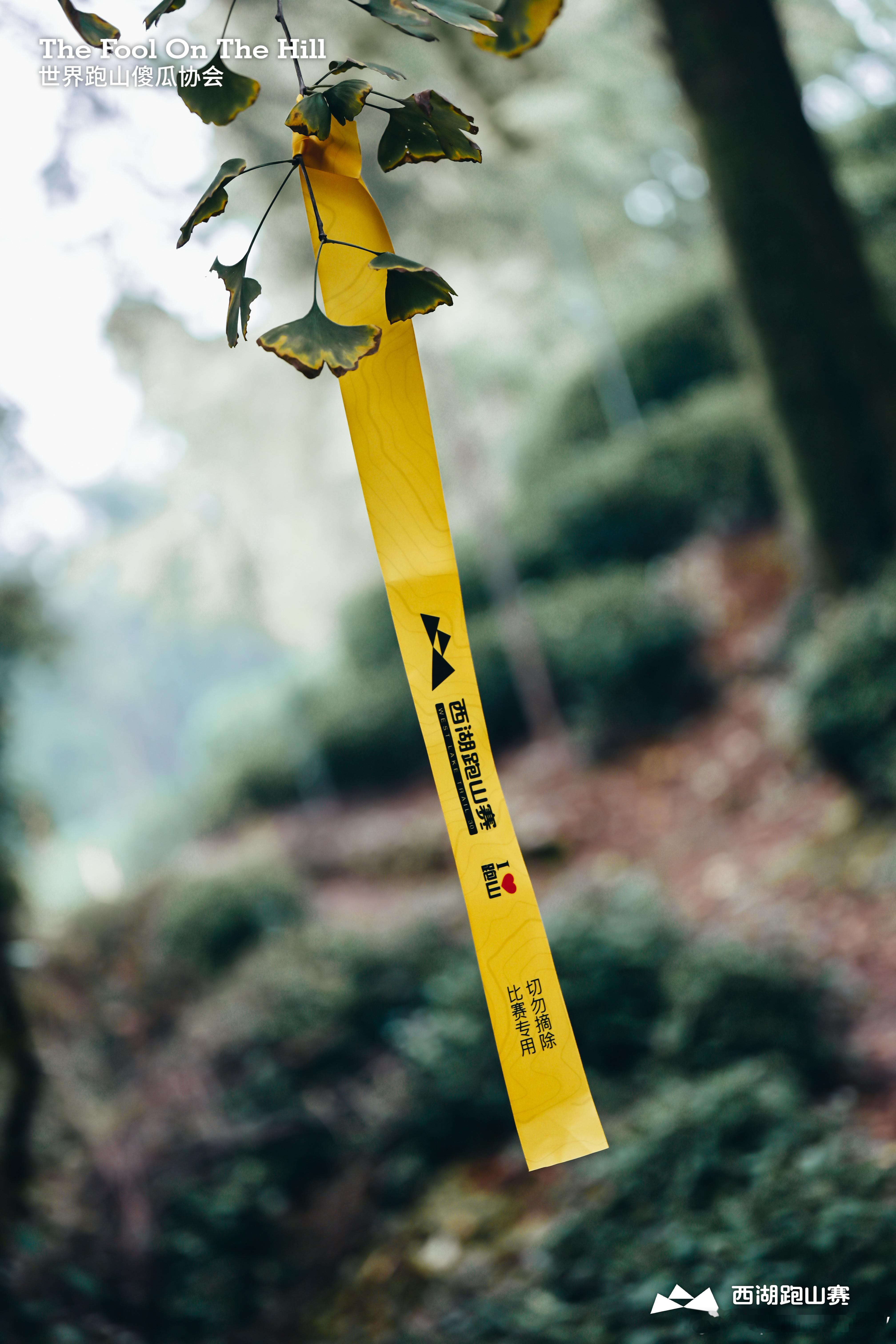 🐮🐴的心还在西湖群山​​​