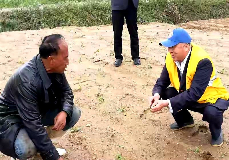城里退休金七八千，回乡下种田养鸡？这画面有点违和。农民伯伯每月不到二百，这差距，