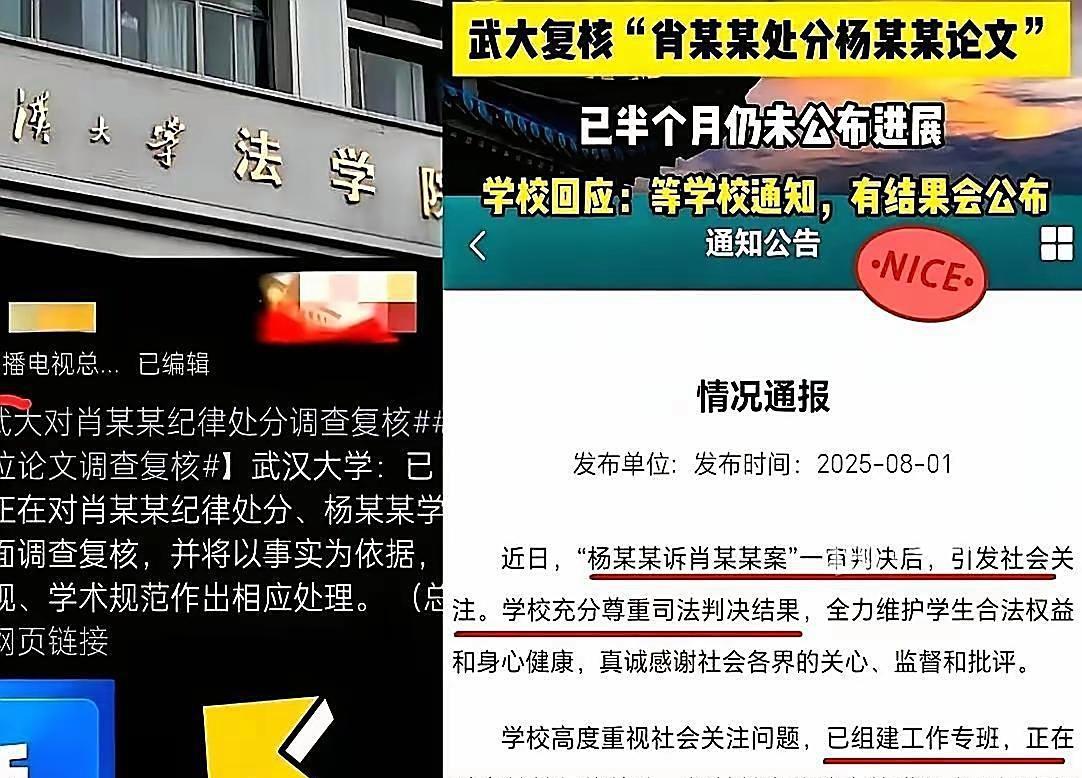 校长调走只是个开始，武大背后还有更大的问题没暴露出来呢。武大拿杨某媛当挡箭牌，