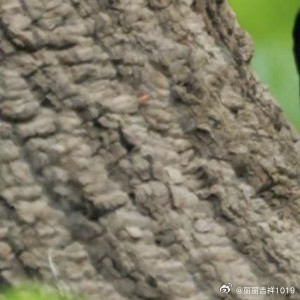 生活不需要太拥挤，留白也是一种美。把心放宽，把事看淡，在平平淡淡里，好好爱自己，