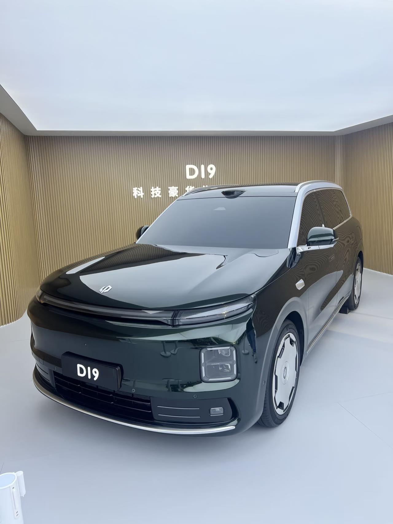 零跑D19这辆车算是一辆黑马，起售价21.98万的起售价就能买到这个配置和尺寸。