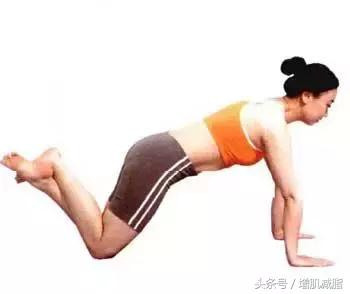 只需一个动作——跪姿俯卧撑!