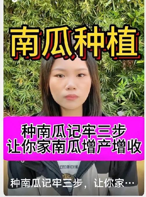 南瓜简单种植方法，新手也能种出好瓜南瓜好养活、产量高，家庭小院、空地都能种