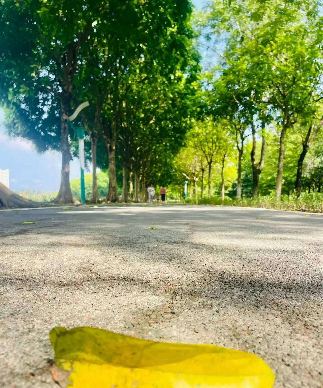 工作中，最容易留下把柄的四个行为，就算是骨干，也千万别干:1，会议中表现得过于