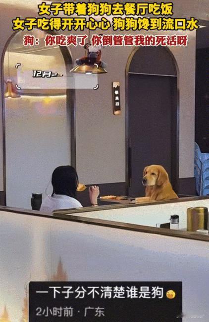笑不活了！湖北，主人带狗狗去餐厅吃饭，等烤串烤好以后，女子就迫不及待的大吃了起来