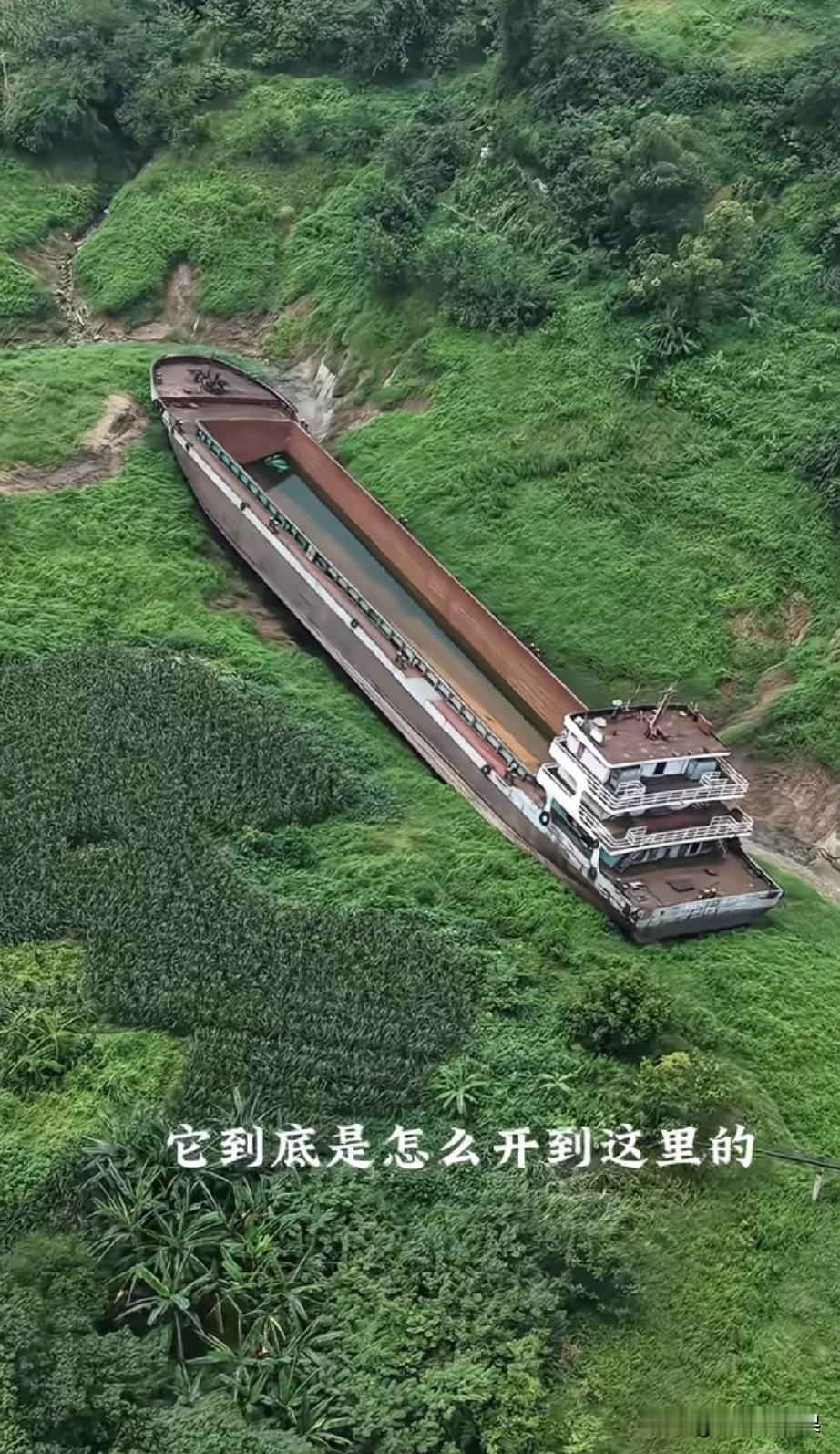 这么大的一艘船静静的躺在这个山沟沟里，真的太可惜了。目测这艘船最少有几百上千吨