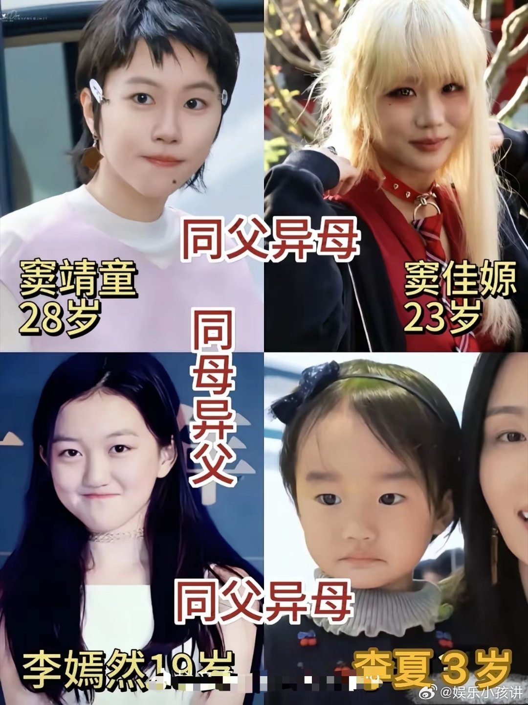 窦唯亲生2个、王菲亲生2个、李亚鹏亲生2个。窦靖童一个女孩，同时横跨三个人的人生