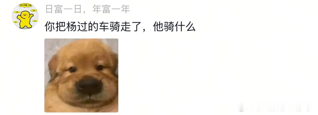 年纪轻轻喜提一把手～