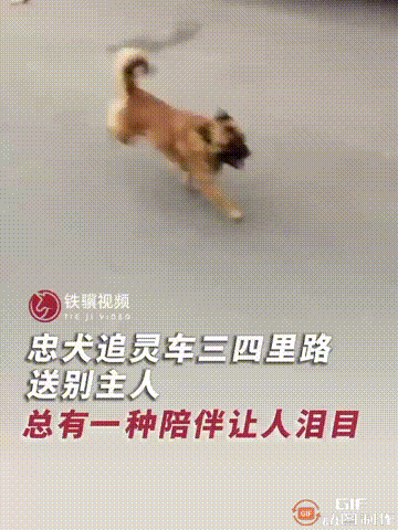 看哭了！江苏宿迁一位老人去世，家人开车带其前往殡仪馆火化的途中，老人生前一直照顾