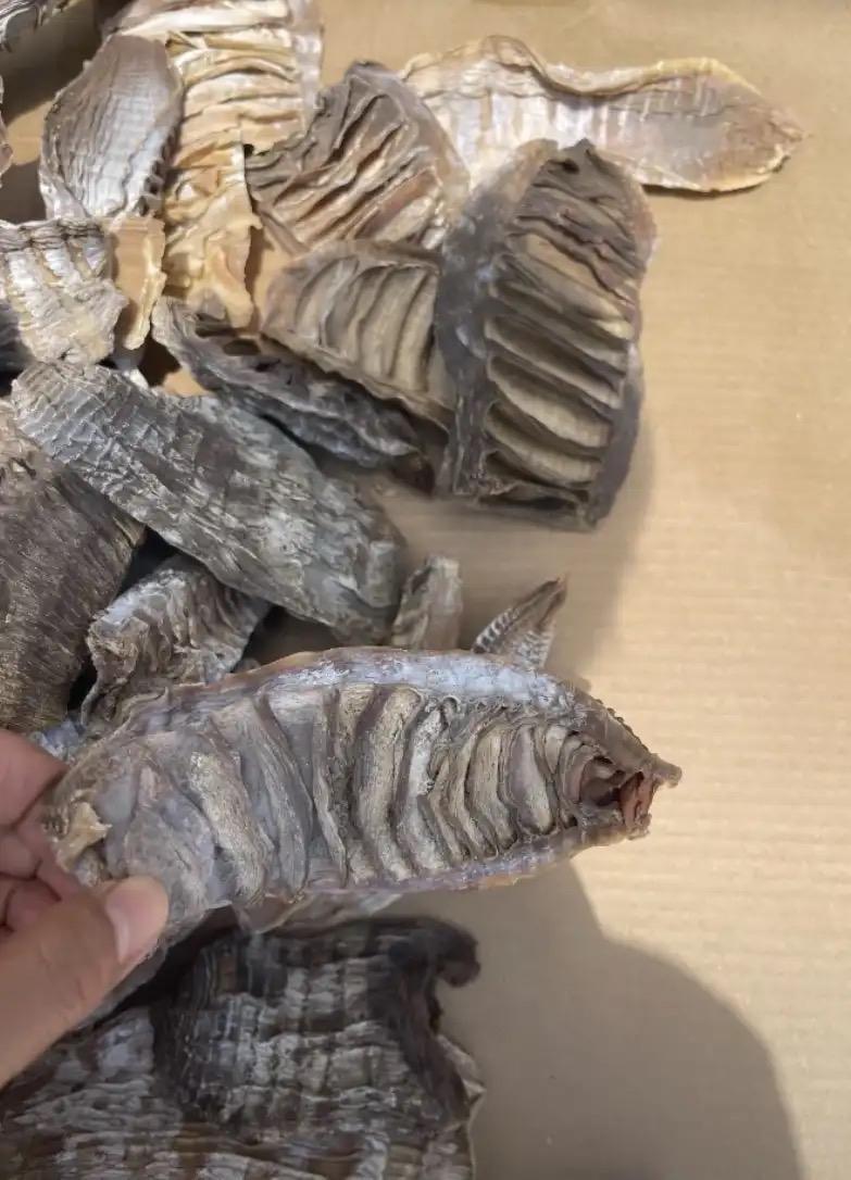 老公带了这食材回家，但我不会做，有没有懂的朋友说下做法？