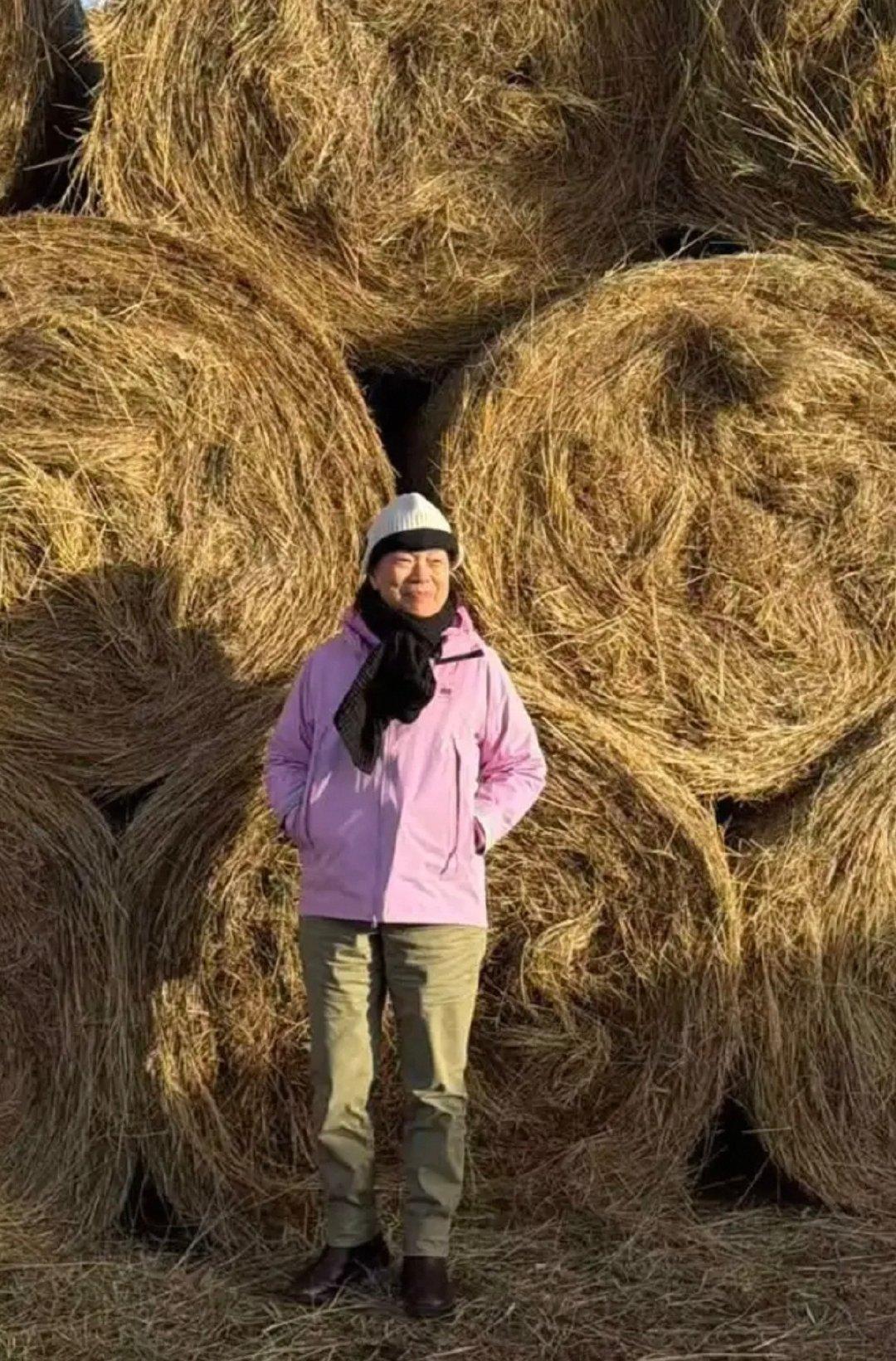 龙应台母亲去世之后在大陆旅游散心。这是龙应台在内蒙古和草垛合影，由于戴着帽子遮住