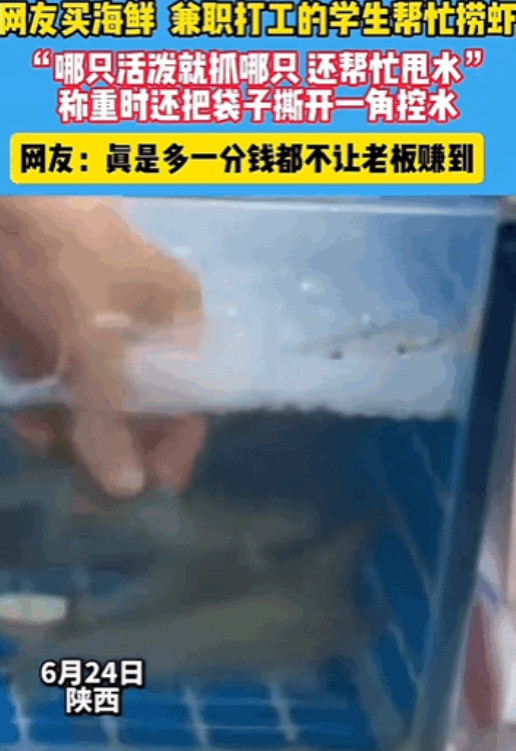 陕西，女子去海鲜店买海鲜，刚巧遇到暑假兼职打工的学生帮忙捞虾，这一波操作可把女子