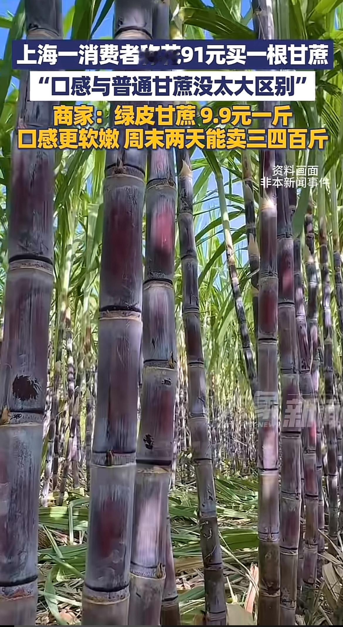 上海这根91元的甘蔗可真是惊到我了！一消费者花91.35元买了一根，他说家里人多