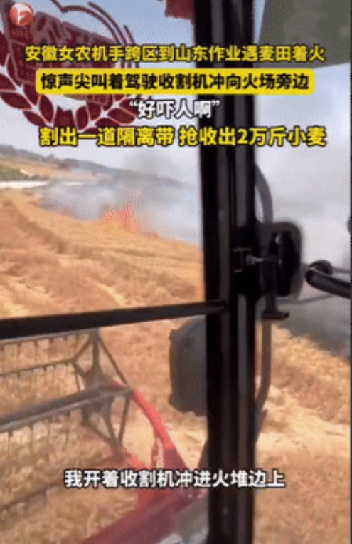 “看哭了！”安徽一位女农机手在山东收麦时，突遇麦田起火，她一边喊着“太吓人了”，