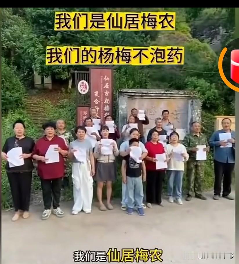 福建"泡药杨梅"被曝光后，浙江仙居梅农急了！为了和"药水杨梅"划清界限，