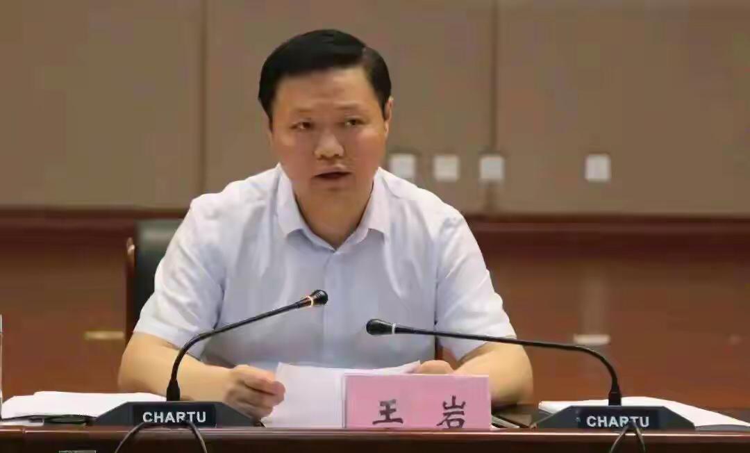 安徽“火箭干部”王岩落马！曾是最年轻处级干部，1月前还看球赛2026年3月2