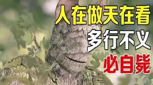 [呲牙笑][呲牙笑][呲牙笑][祈祷][赞][赞]