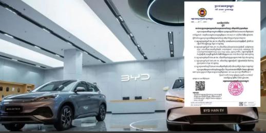 东南亚这次真的拼了，动作大得惊人！就在今天（4月1日），咱们中国的新能源产业，突