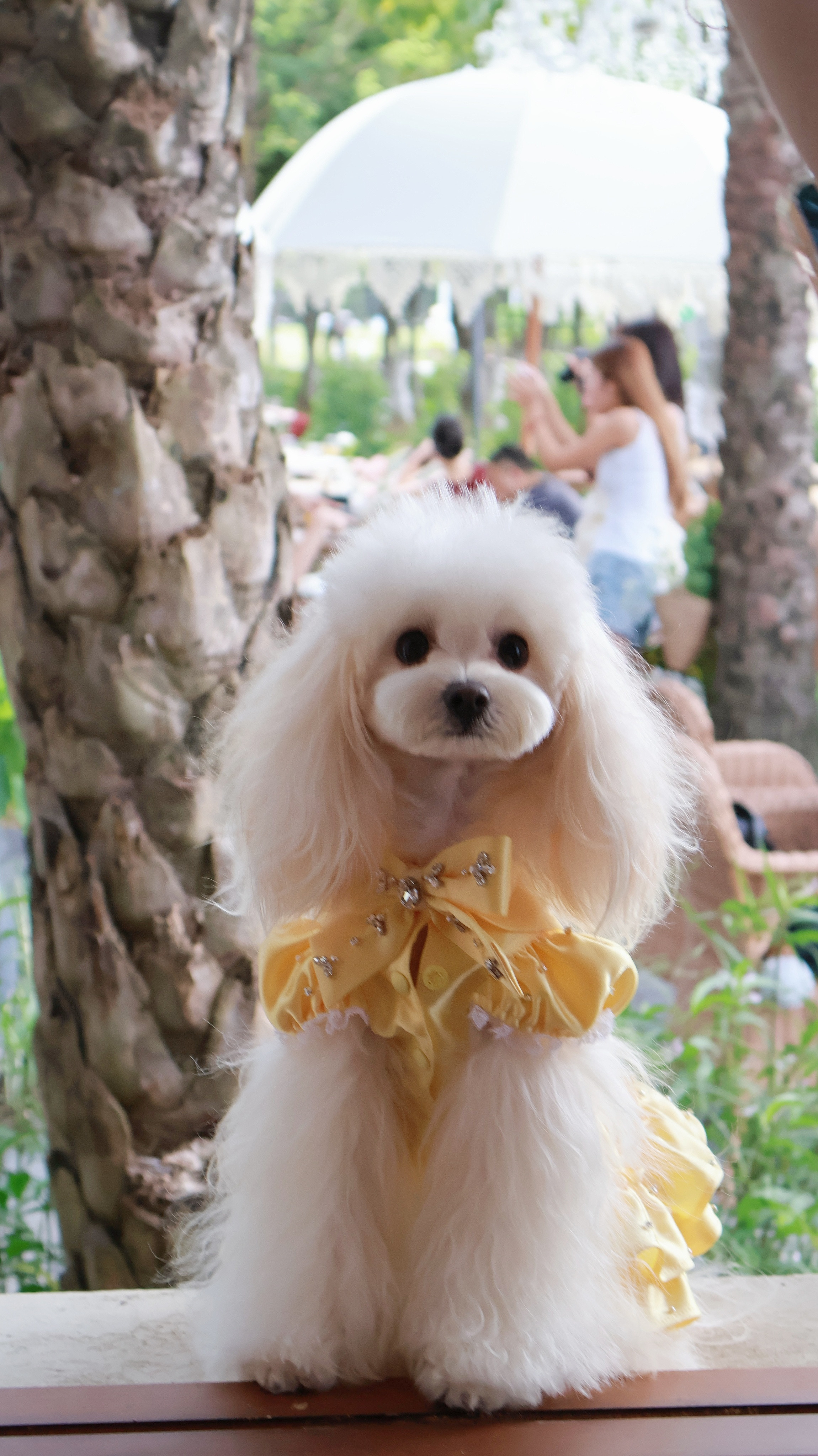 人生真是喵喵又咪咪🐾​​​