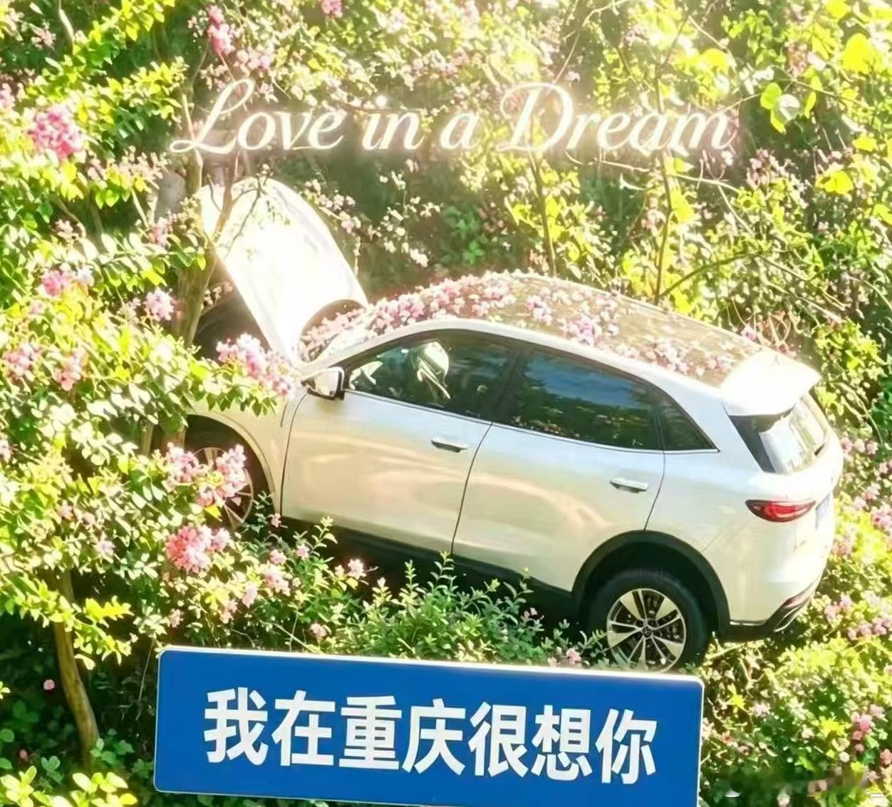 目测，鹅岭隧道要成新的打卡点了重庆人民太松弛了至于怎么飞上去的，开什么车能飞上去