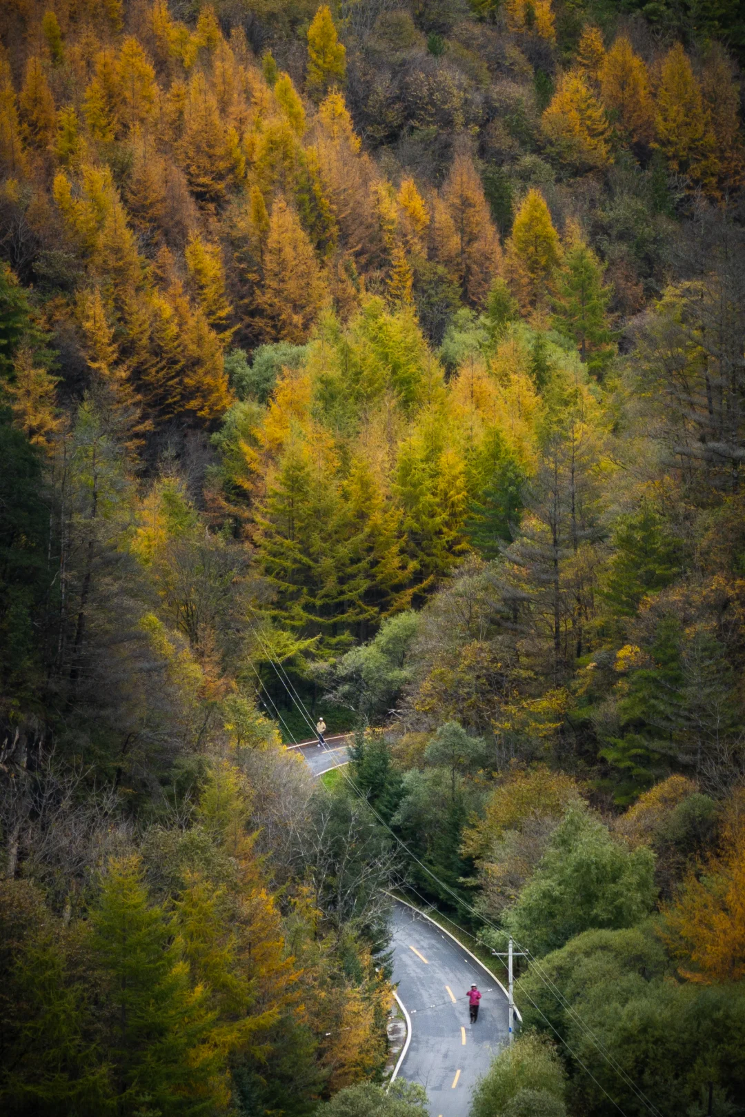 闯入秦岭私藏的秋日秘境🍂美到窒息😲