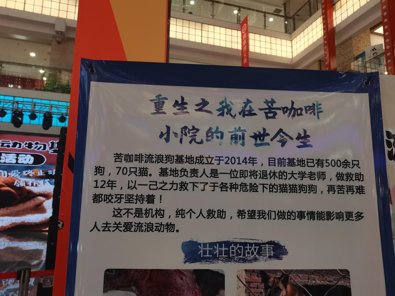 为流浪狗基地打call。下午和好友出去溜达，其实现在逛街这件事对我来说毫无