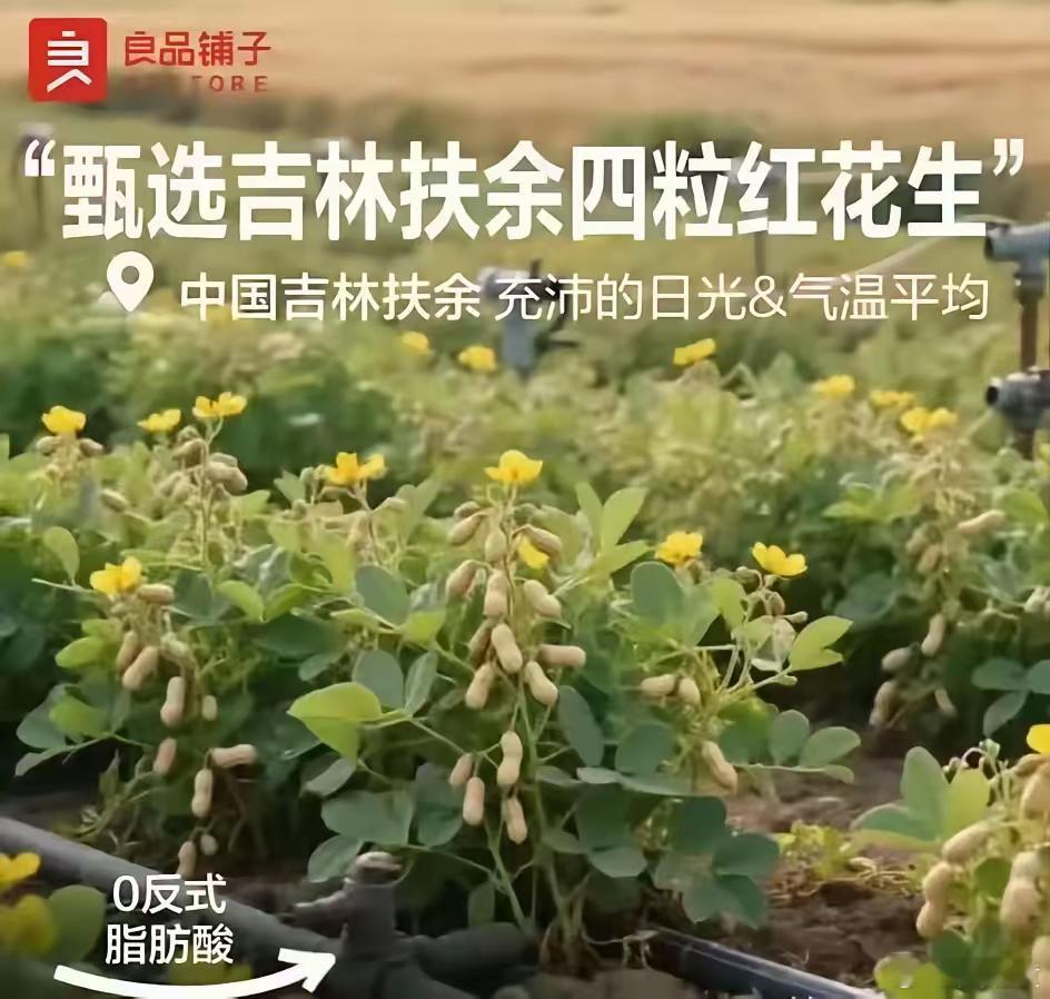 良品铺子花生事件我一直以为是在恶搞，没想到是官方宣传。这件事看似滑稽，实际揭示