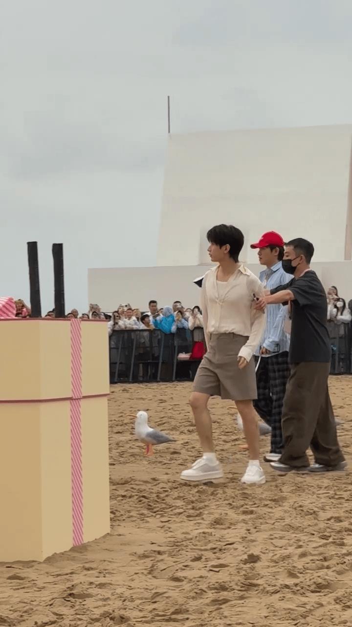哎哟喂，成毅又双叒叕摔了！黑子们又有说道了!“这么大个人了，还不会走路？装的