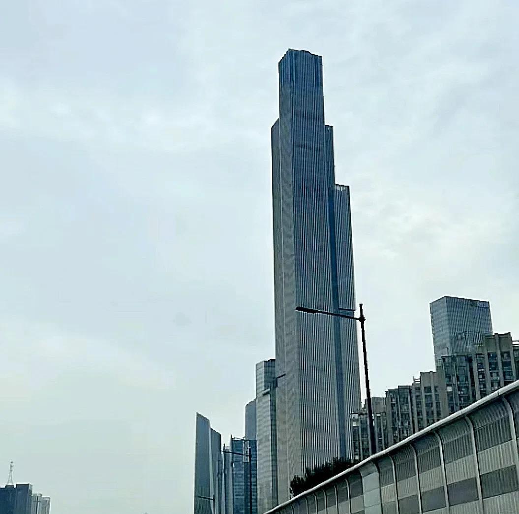 南京城建最大的优势就是不限高，90年代杭州还是一片矮楼的时候，南京在新街口已经有