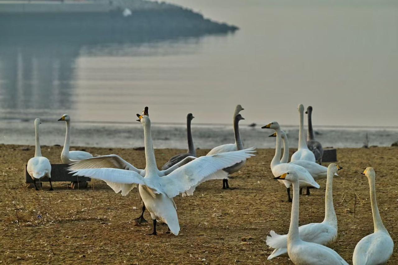 2026最想实现的一件事最大的幸福、最大的愿望就是家人幸福安康，好运连连，幸福长