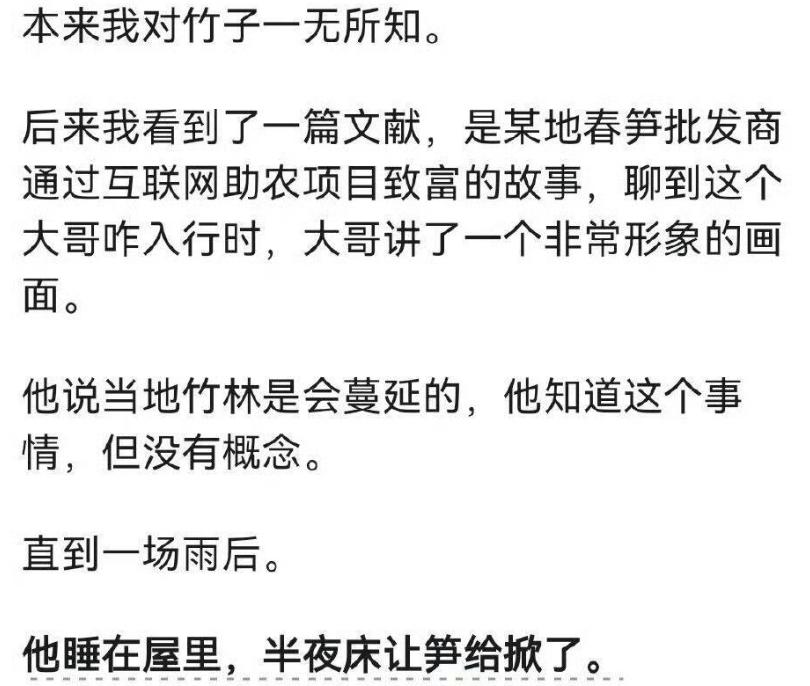 以前使用筷子的时候，好长一段时间我都有一种负罪感，觉得大量使用筷子，导致了森林的