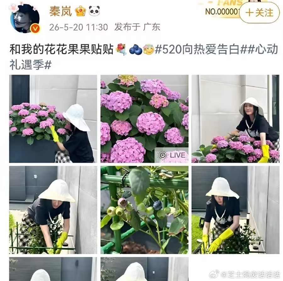 46岁秦岚戴手套蹲地养花摘蓝莓，素颜照惊呆网友，太让人羡慕了！