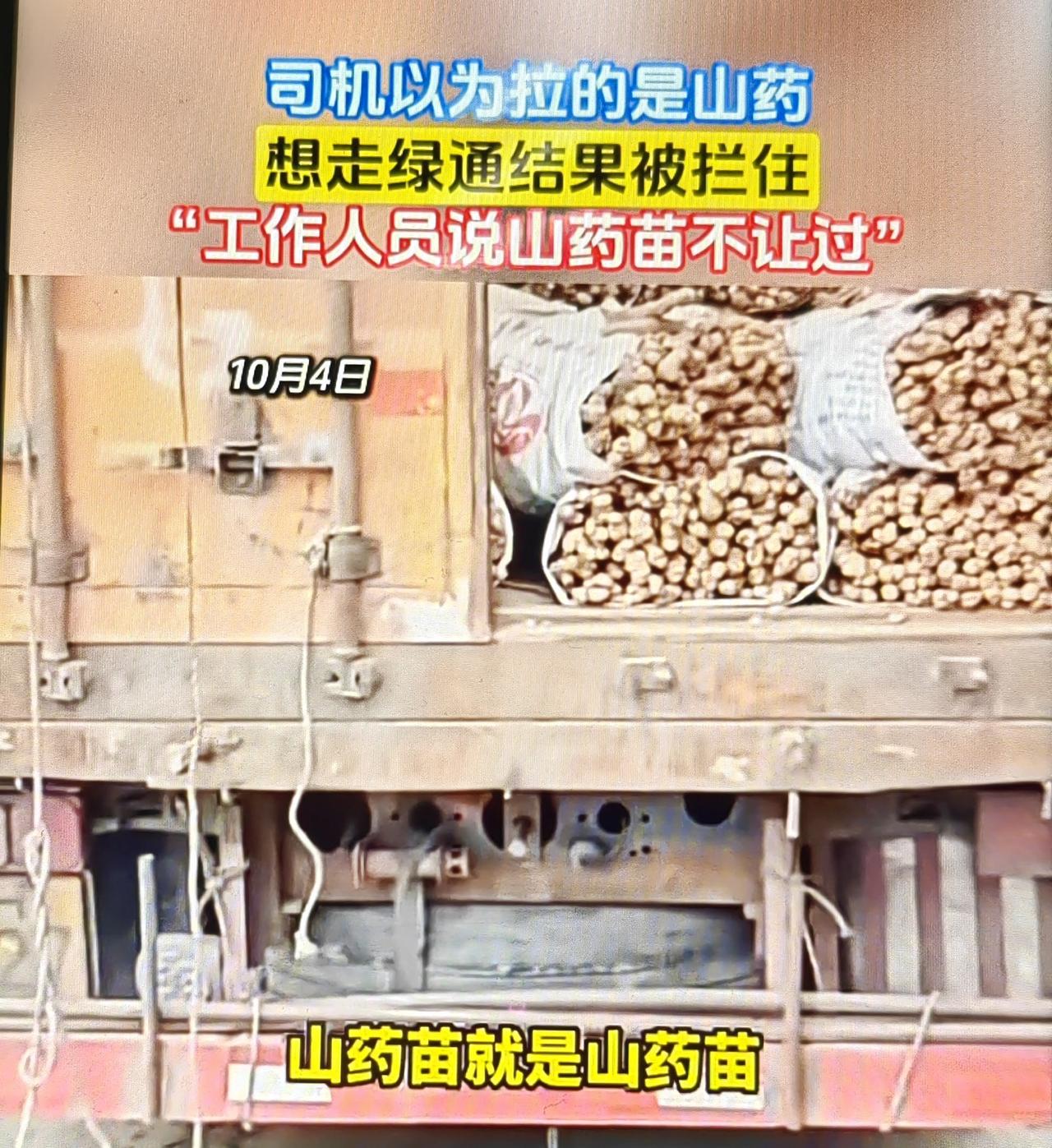 “山药苗等同于山药？”山西垣曲，一男子开货车，拉了一车山药过高速收费站。他以为车