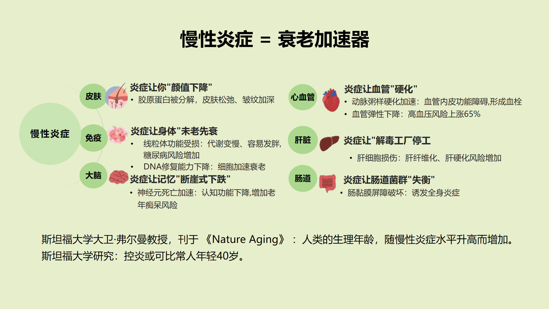 体检报告全正常，却总累、睡不好、肚子减不掉？你可能正在经历"慢性低度炎症"——身体里一堆没有明火的炭