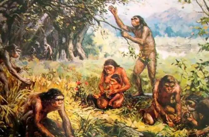 科学家发现，350万年前，地球上曾存在两种截然不同的人科古生物。这不是假设，