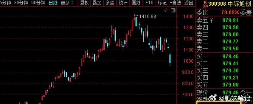 今天中际旭创大跌12%，收盘价979元，高位下来跌超30%了。易中天集体大跌，导