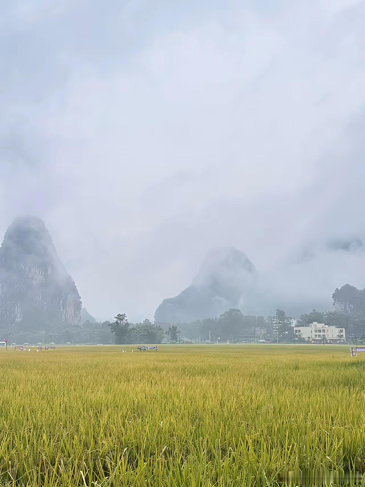 今日热点板块和个股：1.稀土板块：很多人最近被稀土板块搞懵了，明明一大堆的利好，