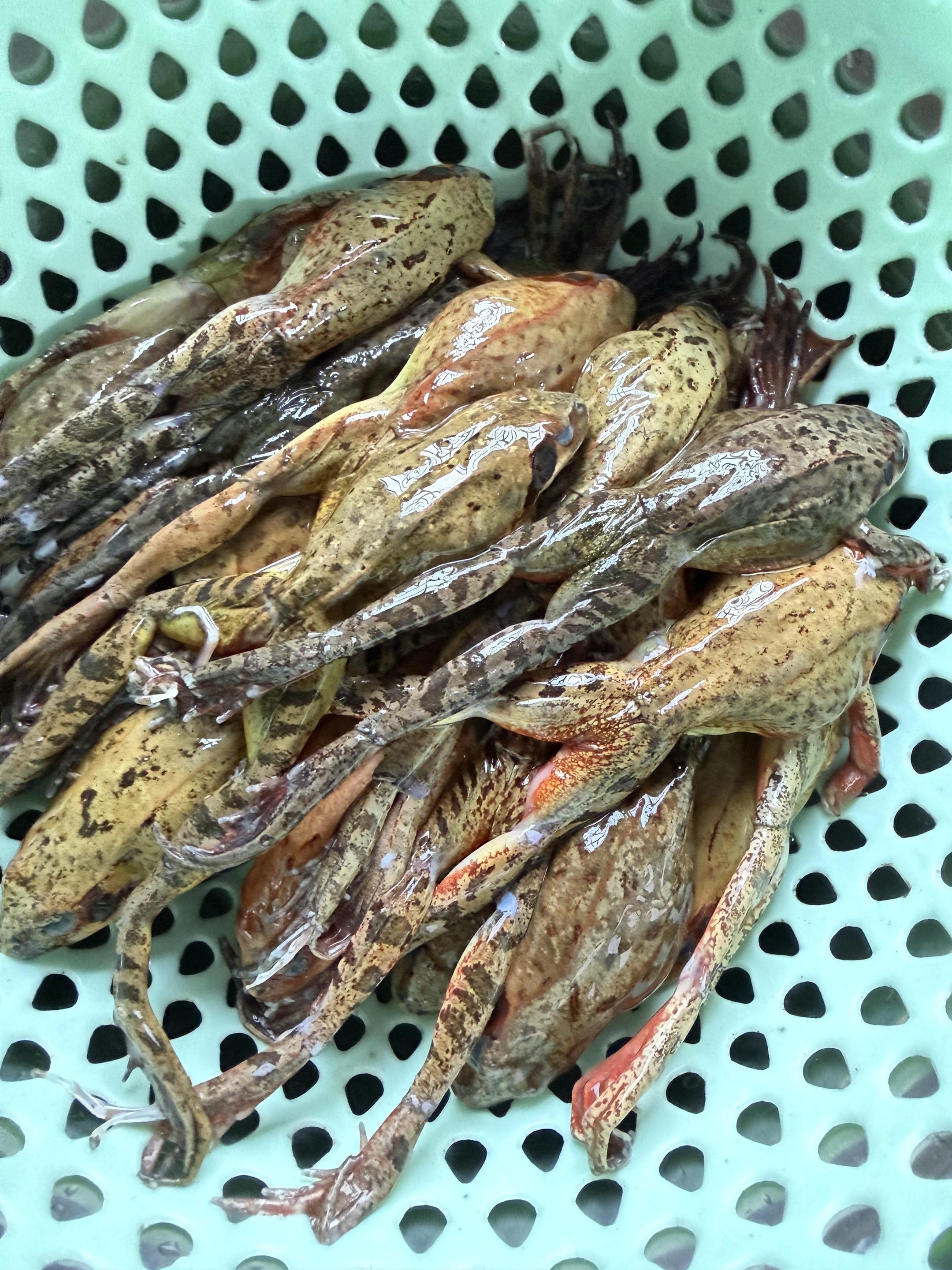 来自小兴安岭的美食……香迷糊了！