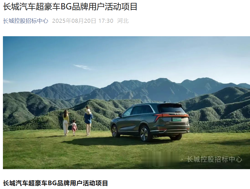 长城超豪车BG品牌正式公布